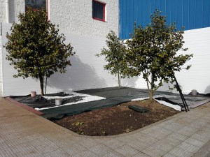 Colocación de malla antihierba en jardin con suelos de plastico