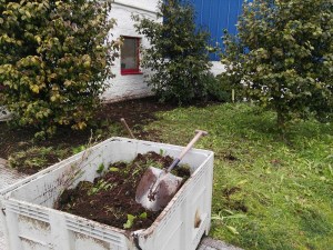 Retirada de capa vegetal y nivelación de superficie